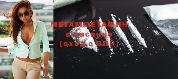 трава Аркадак