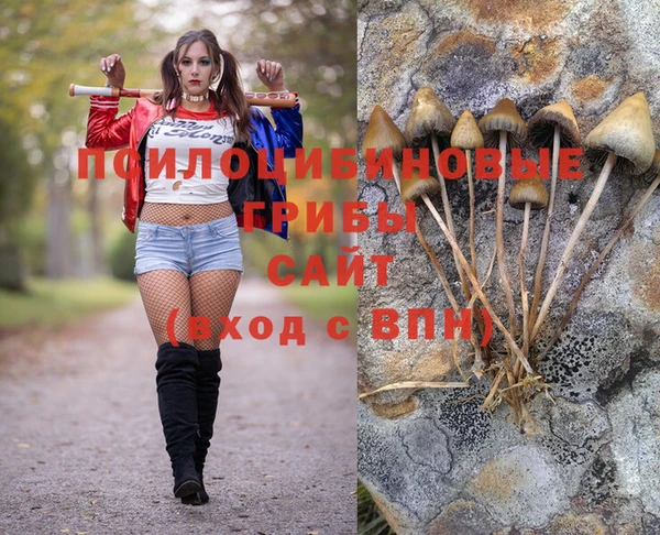 прущая мука Баксан