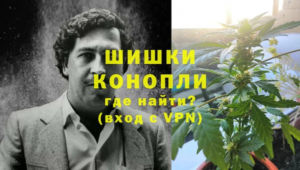 трава Аркадак