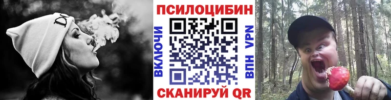 Галлюциногенные грибы Psilocybine cubensis  Можга 